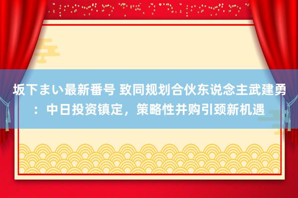 坂下まい最新番号 致同规划合伙东说念主武建勇：中日投资镇定，策略性并购引颈新机遇