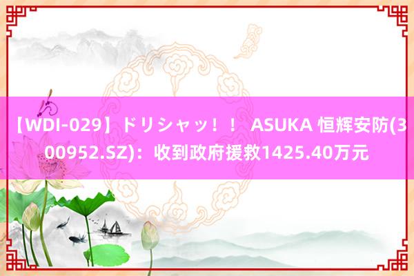   【WDI-029】ドリシャッ！！ ASUKA 恒辉安防(300952.SZ)：收到政府援救1425.40万元