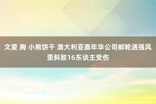   文爱 胸 小熊饼干 澳大利亚嘉年华公司邮轮遇强风歪斜致16东谈主受伤