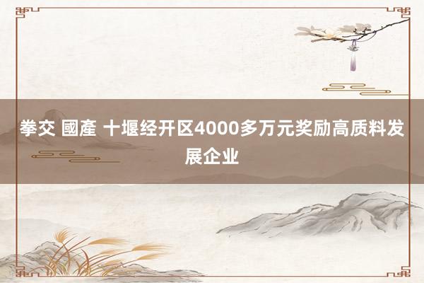   拳交 國產 十堰经开区4000多万元奖励高质料发展企业