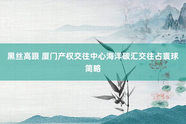   黑丝高跟 厦门产权交往中心海洋碳汇交往占寰球简略