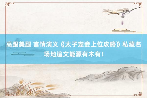   高跟美腿 言情演义《太子宠妾上位攻略》私藏名场地追文能源有木有！